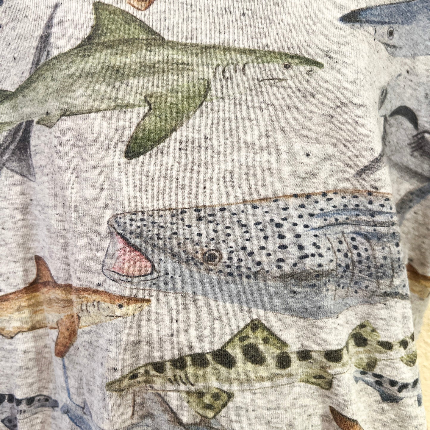 Shark Printed T-Shirt Size 7
