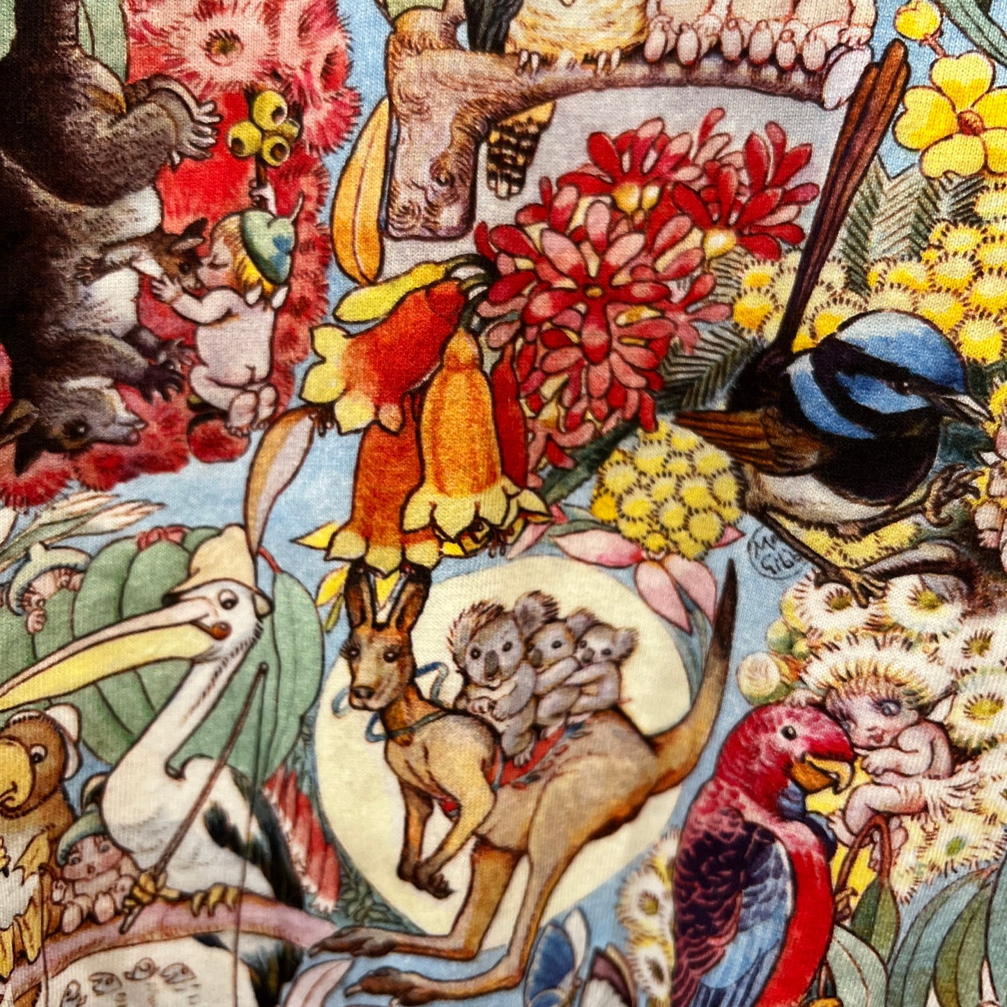 May Gibbs Bodysuit Size 1